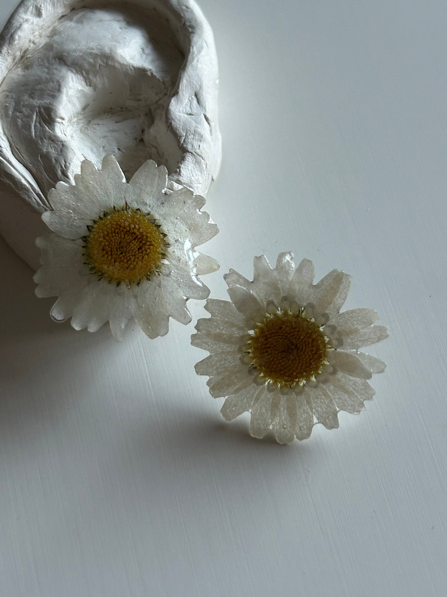 bellis stud earrings