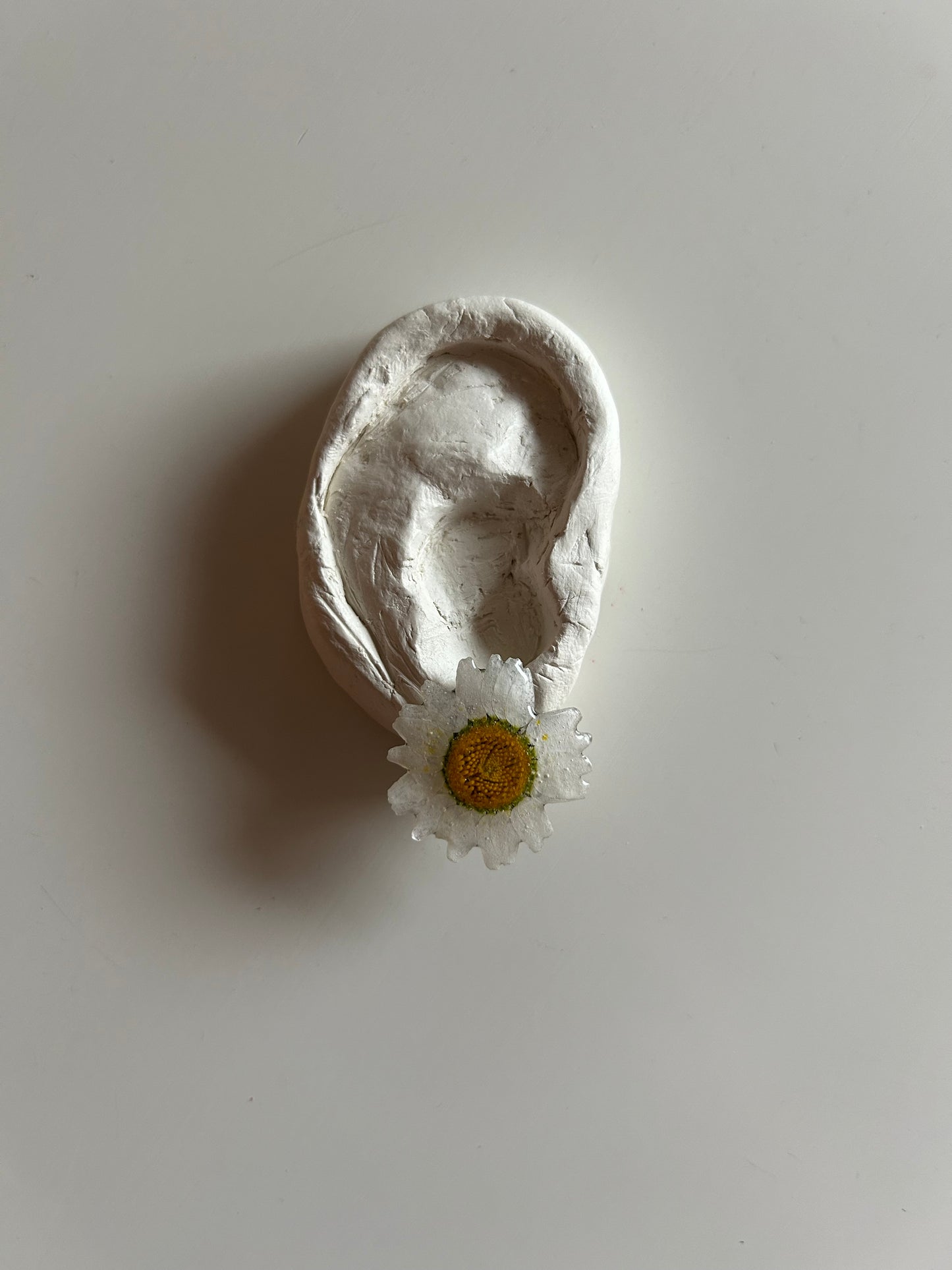 bellis stud earrings