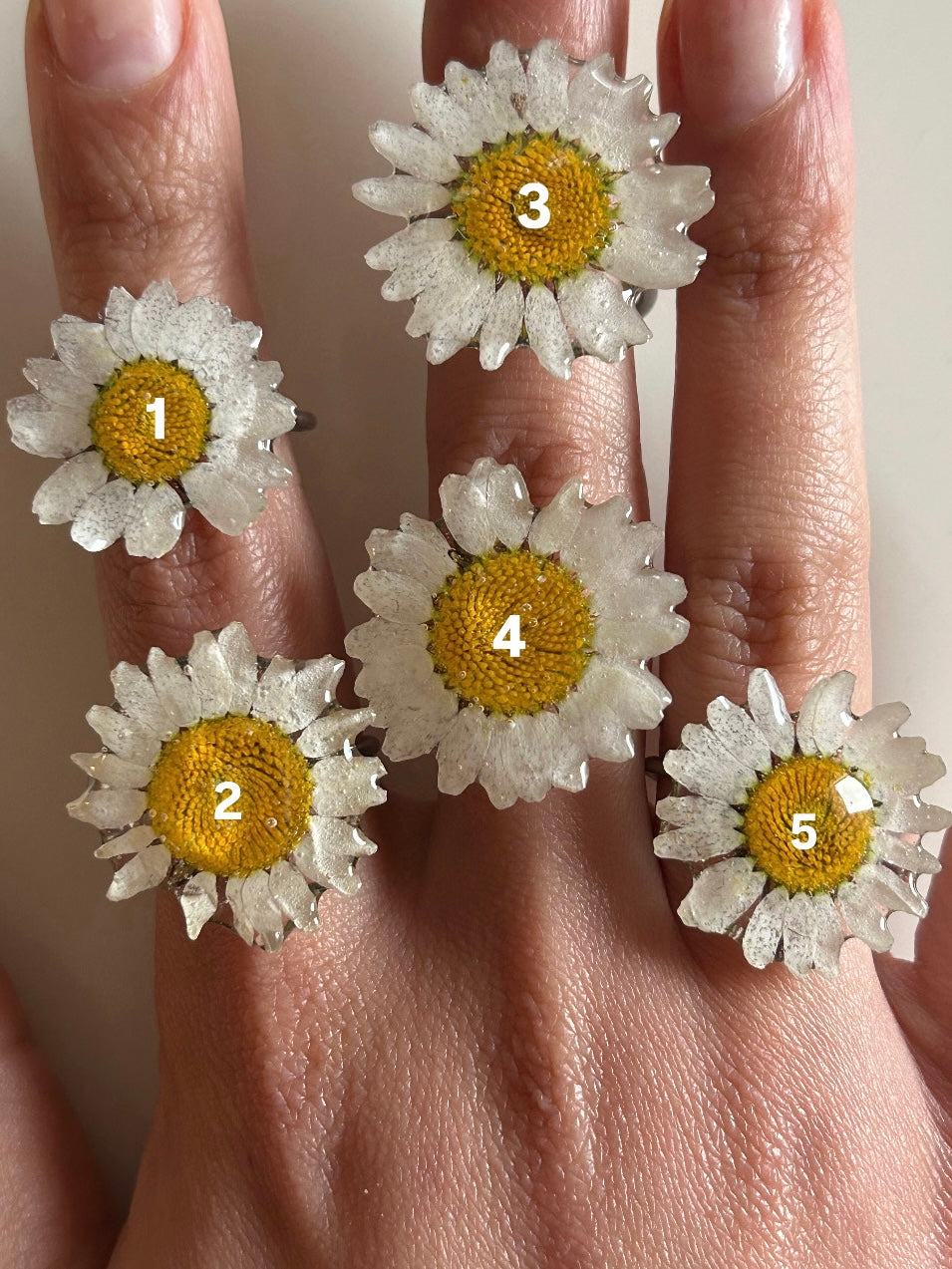 bellis ring