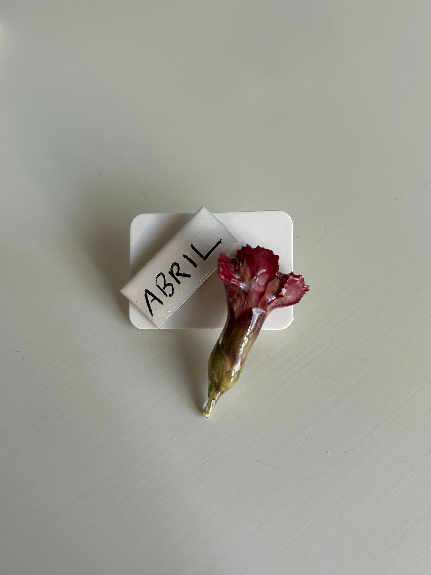 brincos mini cravo + abril