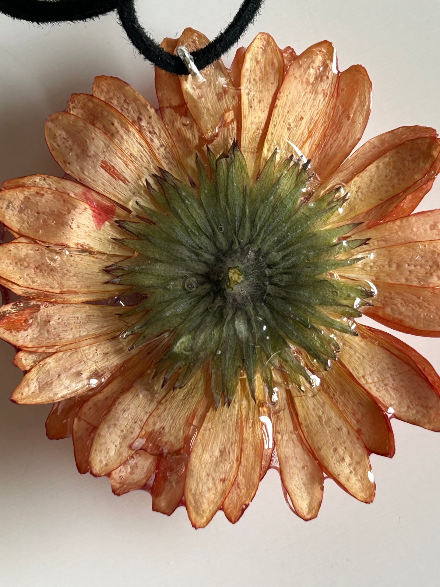 gerbera choker