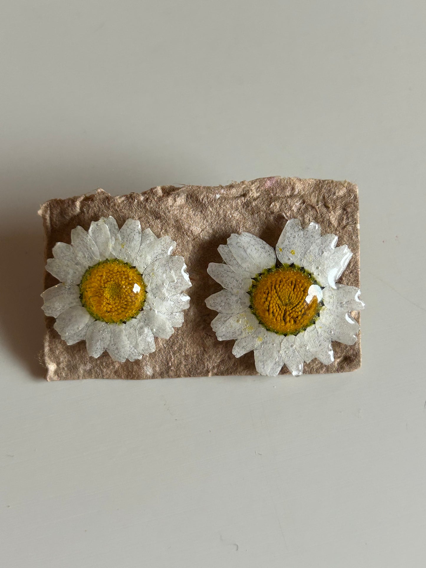bellis stud earrings