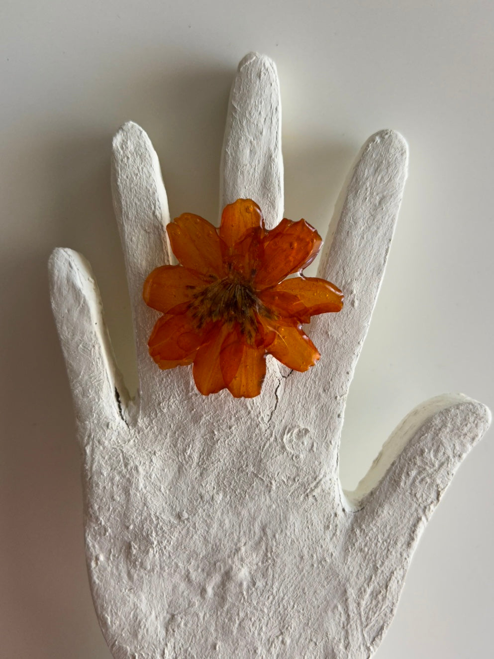 pumpkin jam ring
