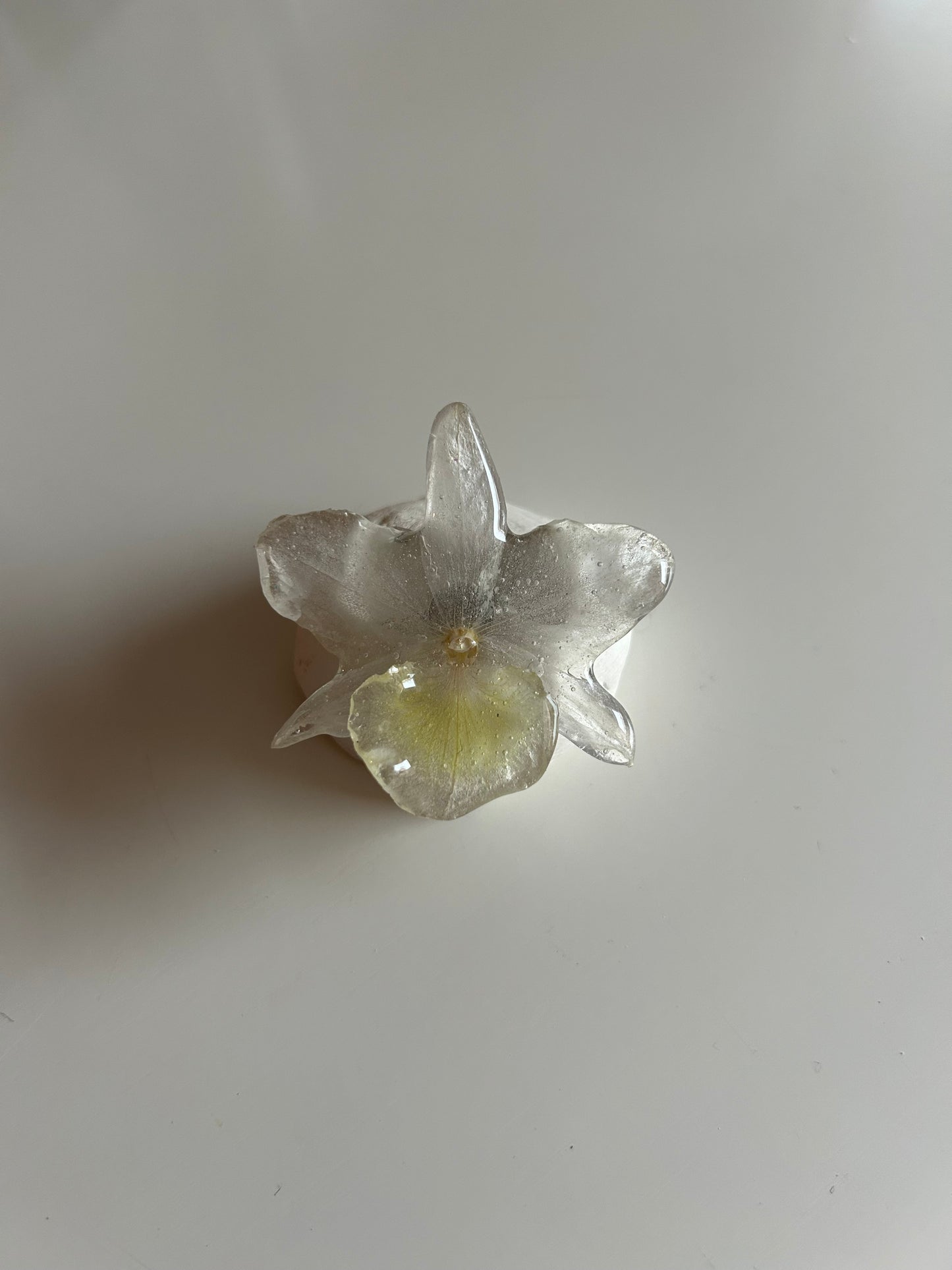 mini dendrobium ring
