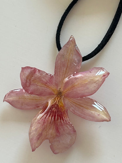 orchid choker