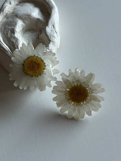 bellis stud earrings