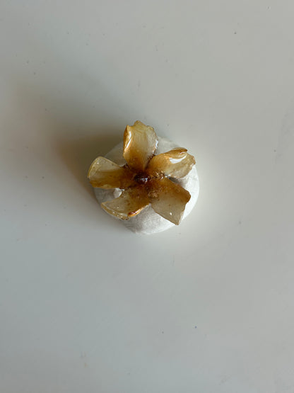 hypericum adjustable ring