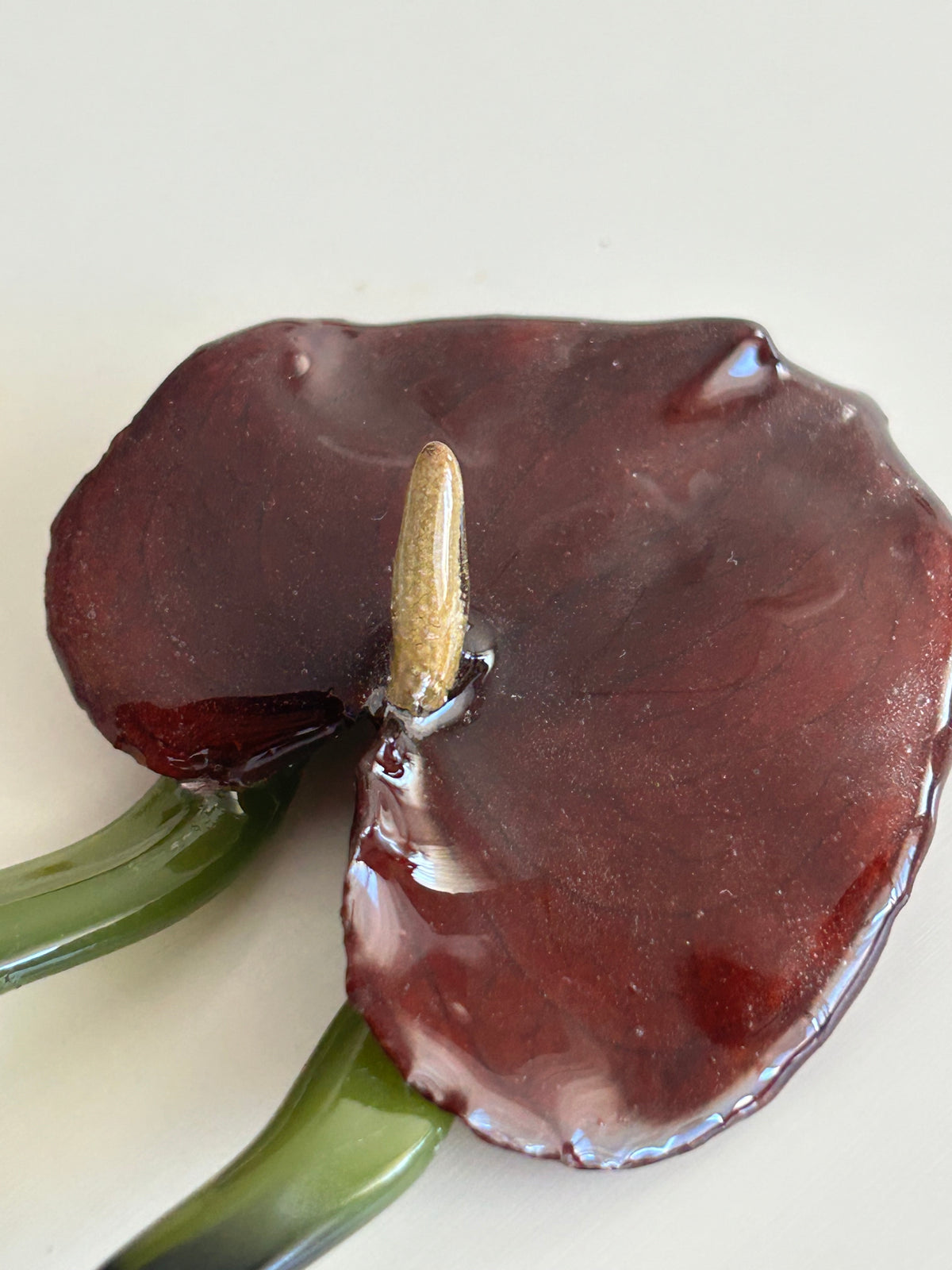 anthurium french pin
