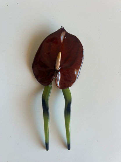 anthurium french pin