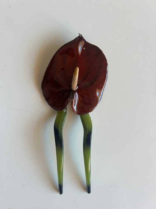 anthurium french pin
