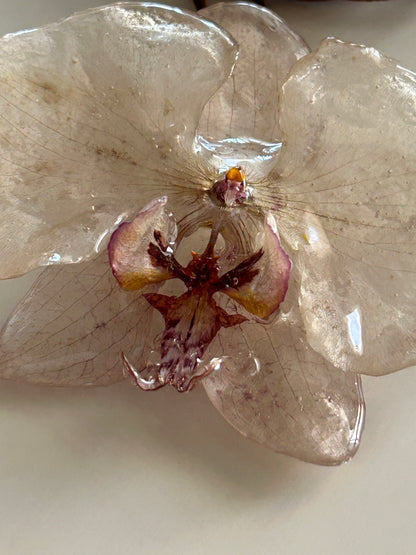 pink orchid choker