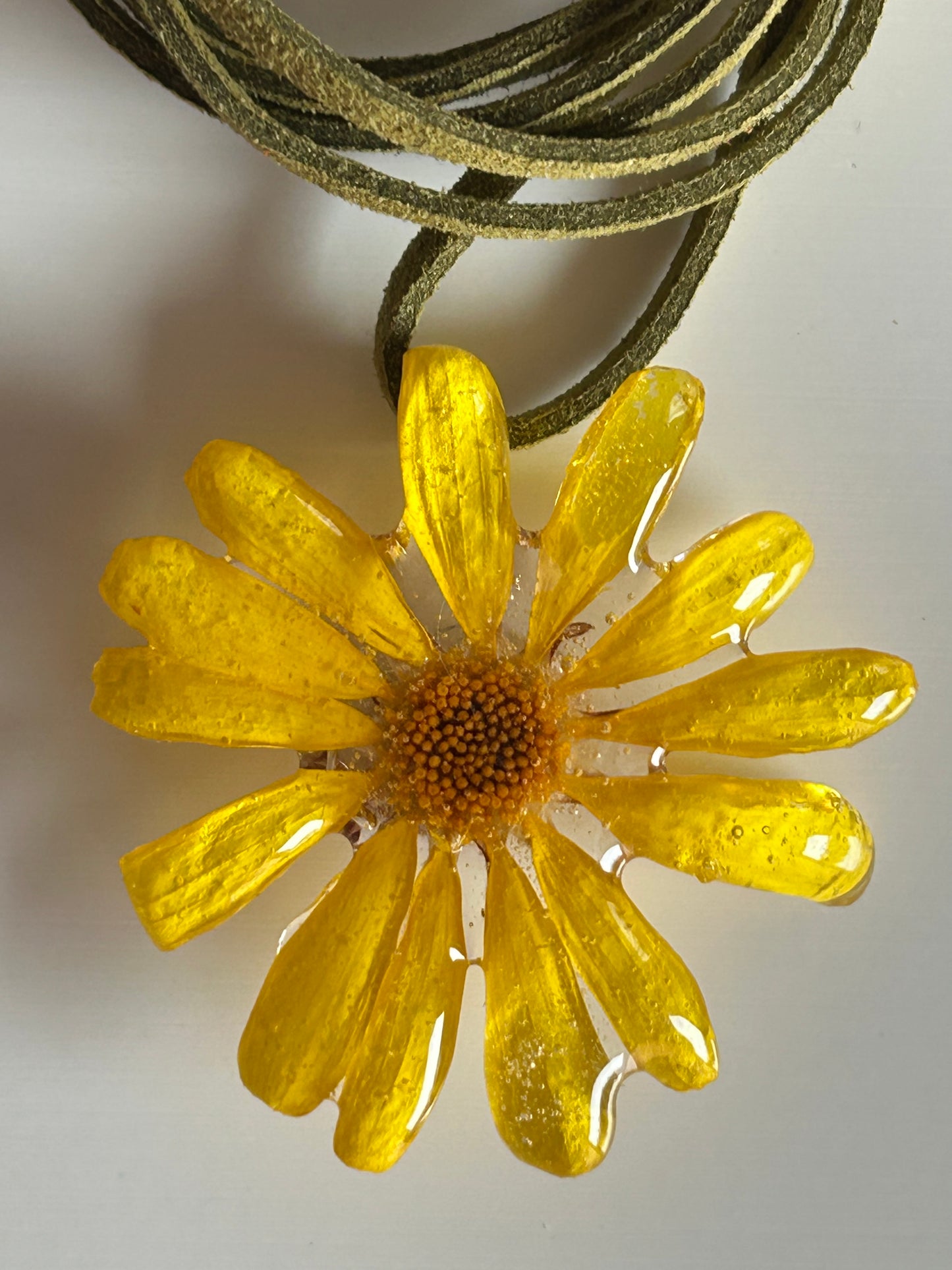 daisy choker