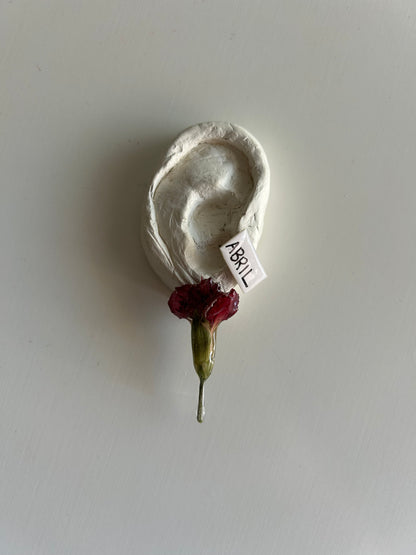 brincos mini cravo + abril