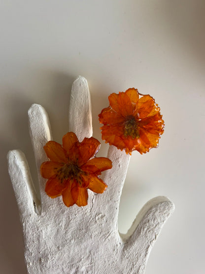 pumpkin jam ring