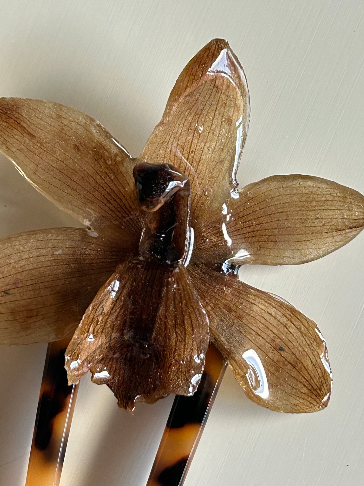 cym orchid french pin
