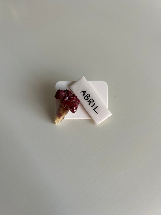 pack pin mini cravo + frase