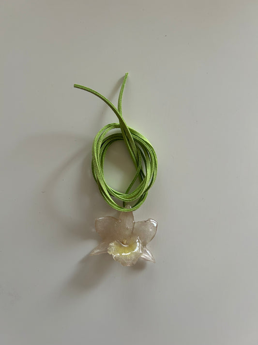 mini dendrobium choker