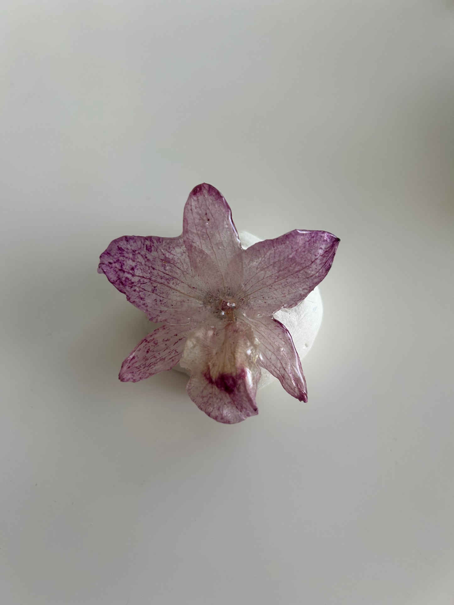 mini dendrobium ring