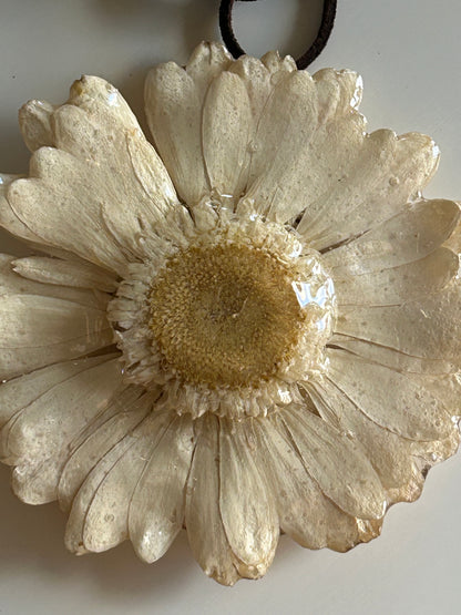 (maxi) gerbera choker