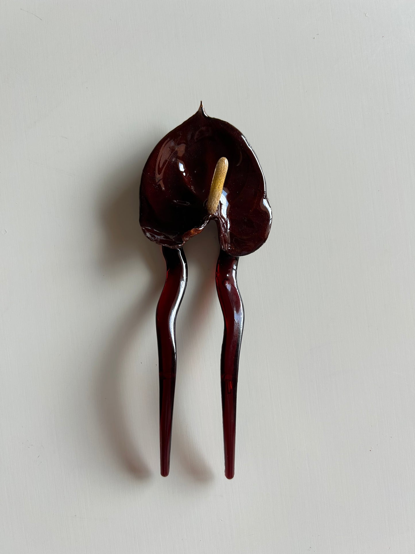anthurium french pin