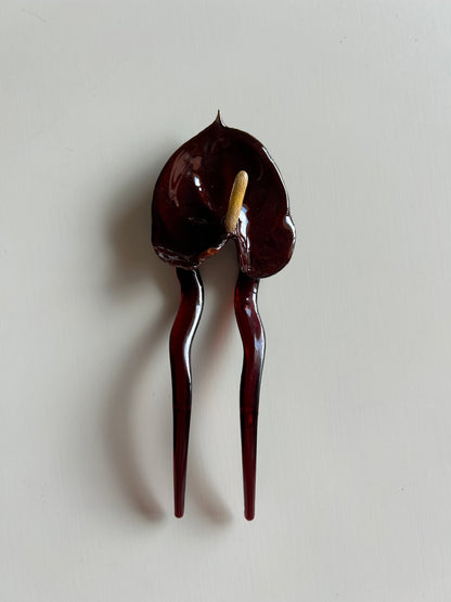 anthurium french pin
