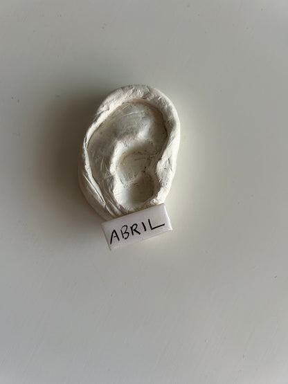 brincos mini cravo + abril