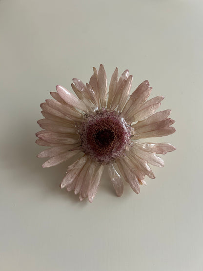 gerbera hairclip