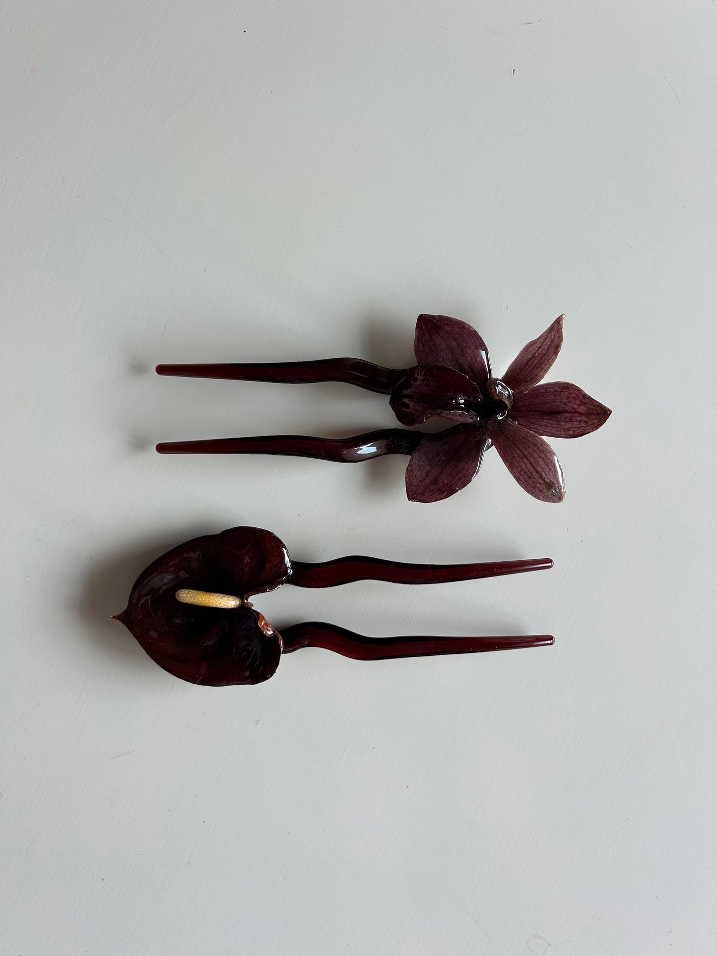 anthurium french pin