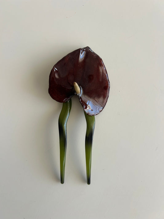 anthurium french pin