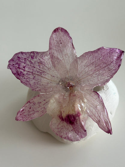 mini dendrobium ring