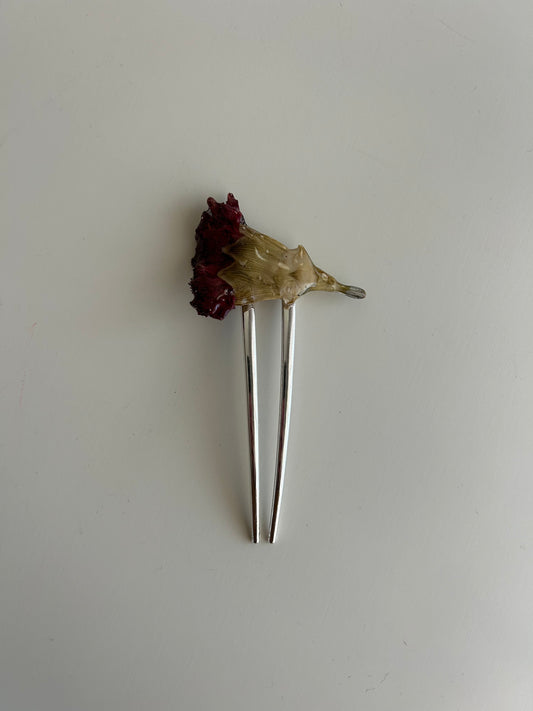 french pin cravo