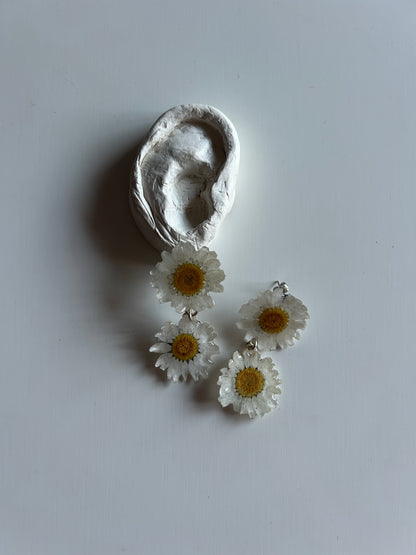 bellis stud earrings