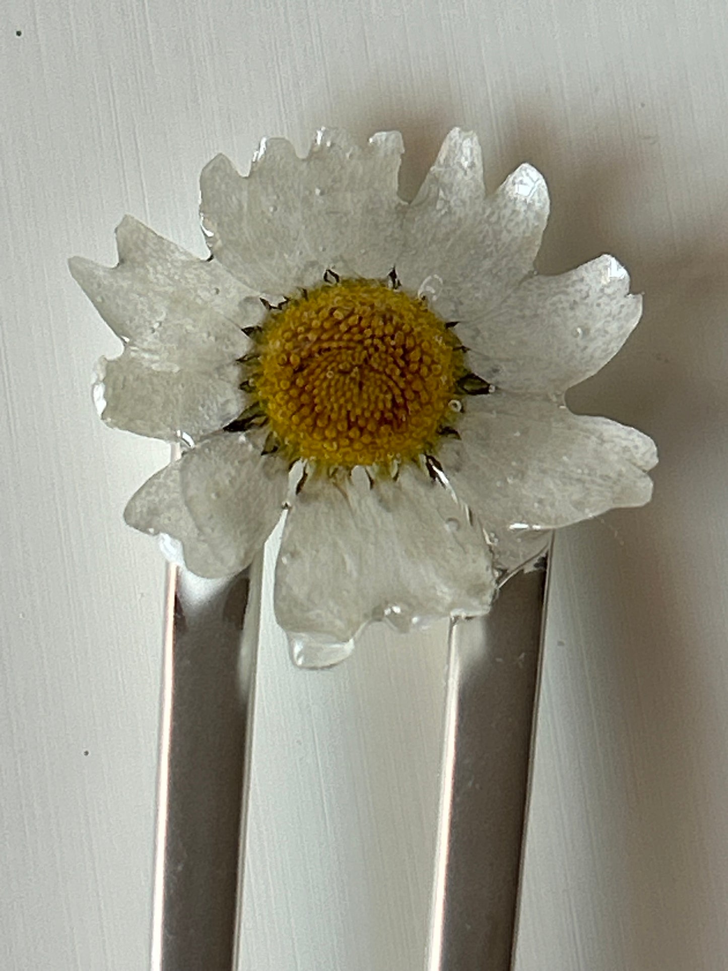 daisy french pin