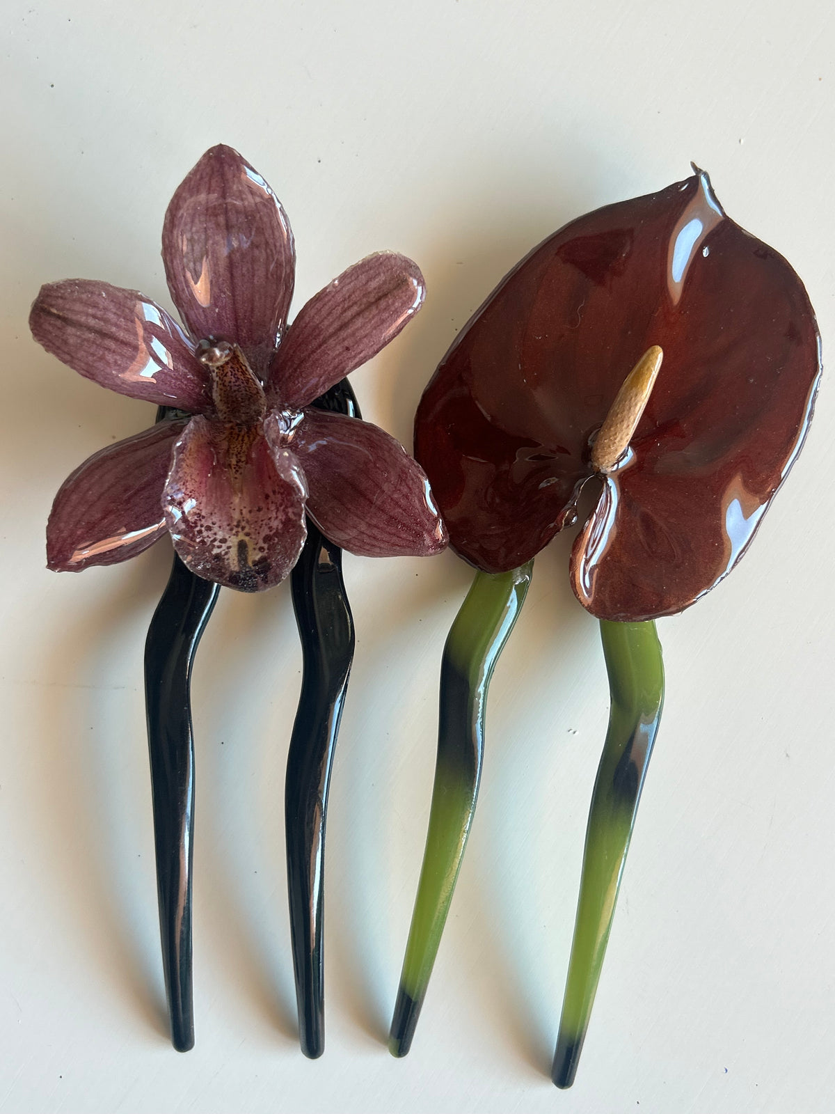 anthurium french pin