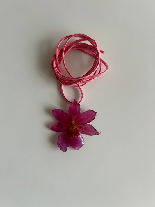 orchid choker