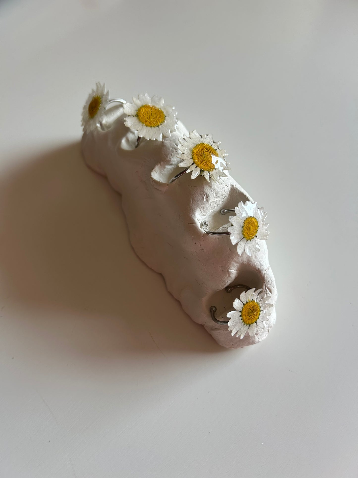 bellis ring