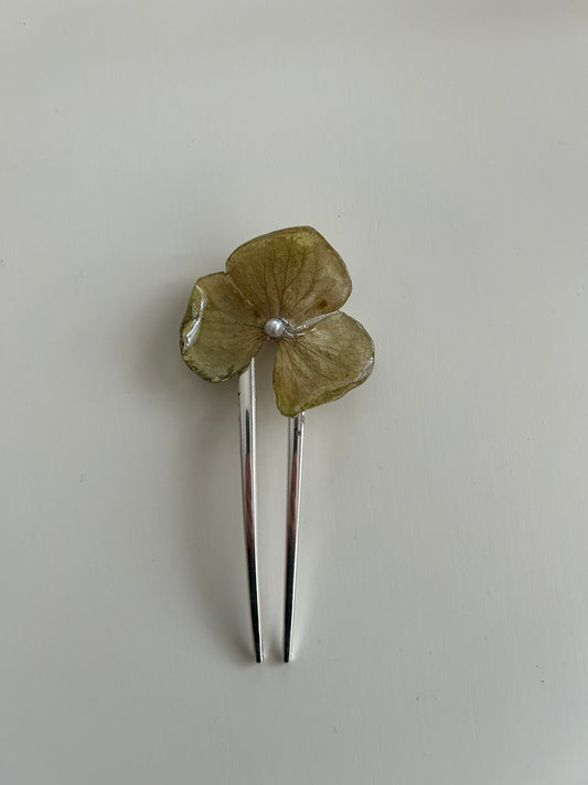 hydrangea french pin
