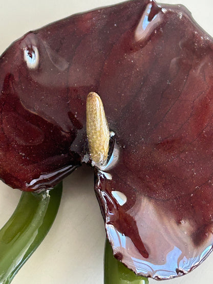anthurium french pin