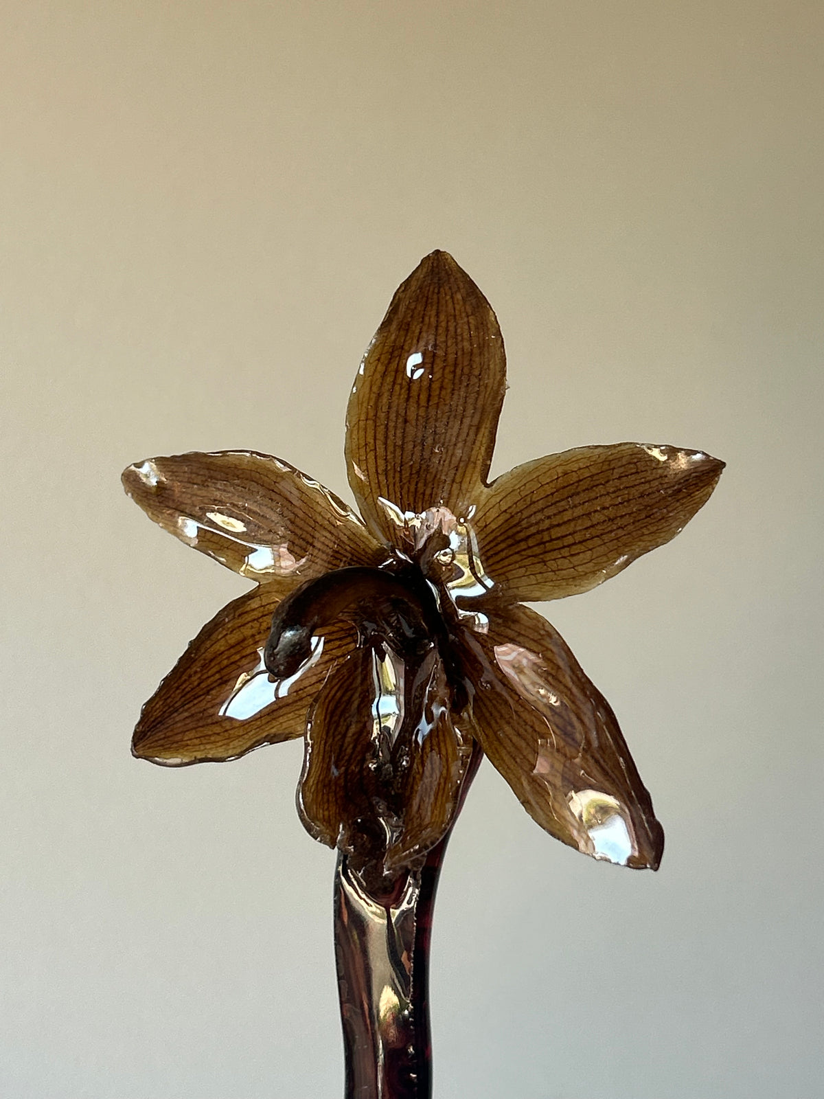 cym orchid hair stick
