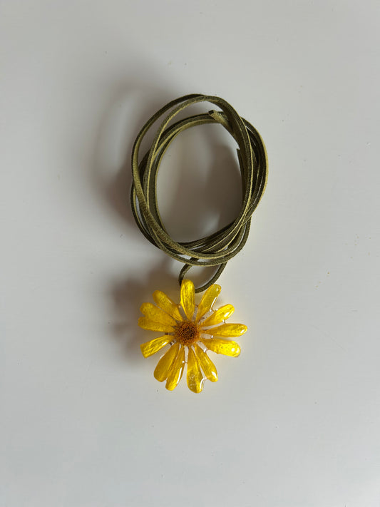 daisy choker