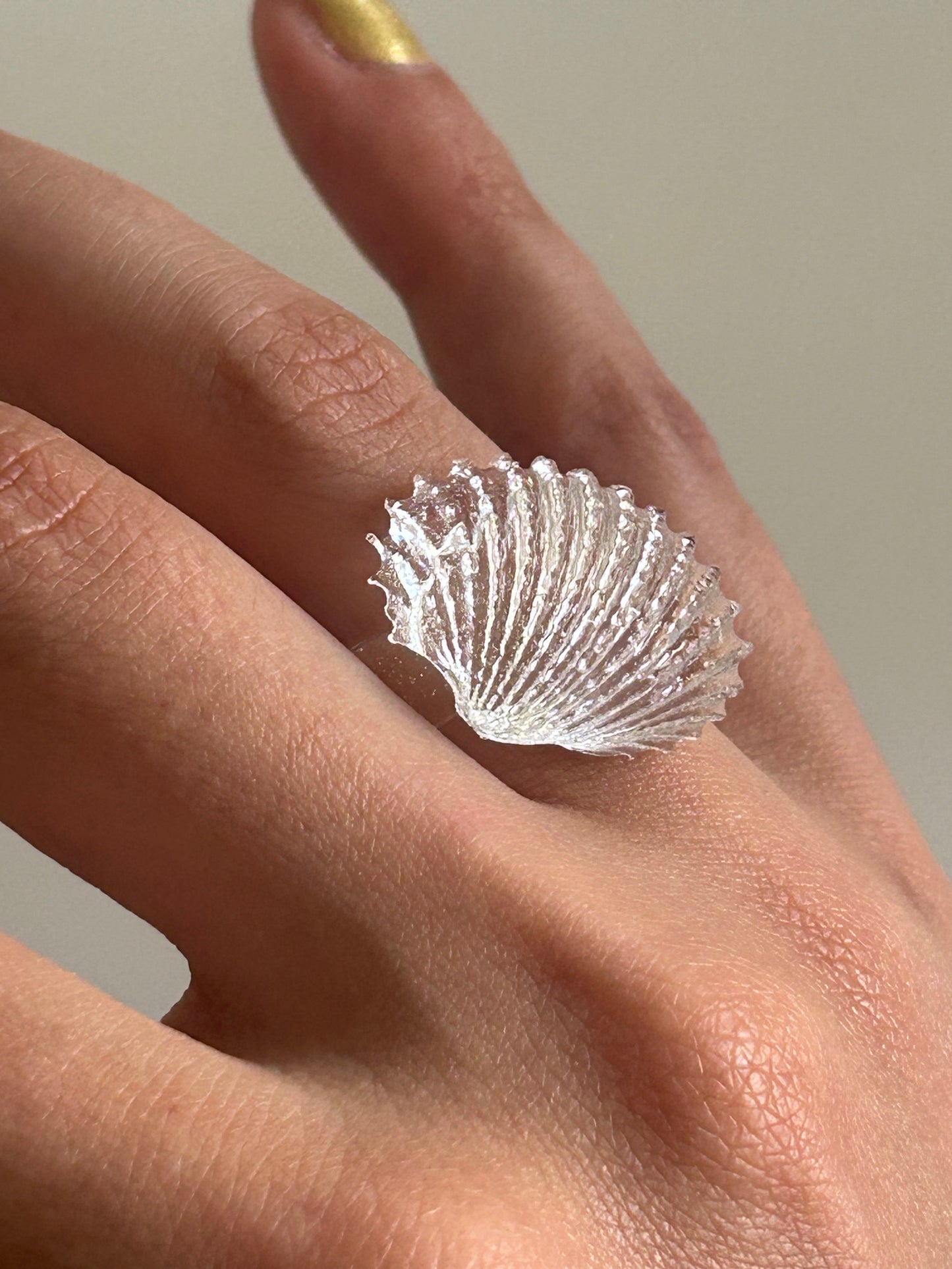 mini shell ring
