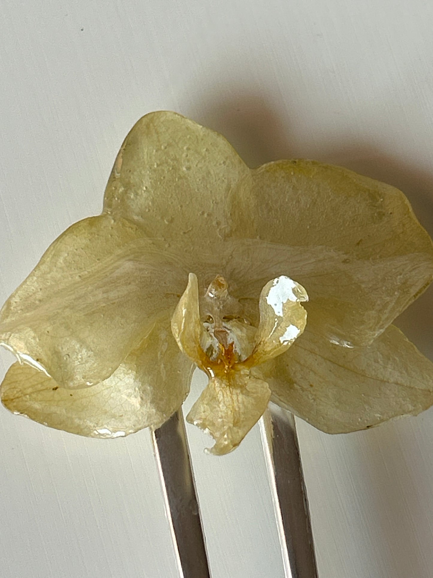 orchid french pin