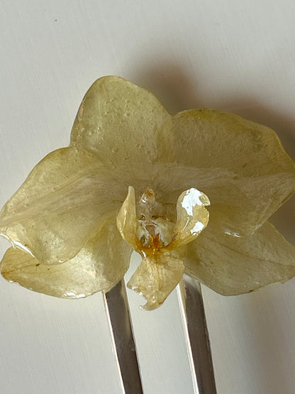 orchid french pin
