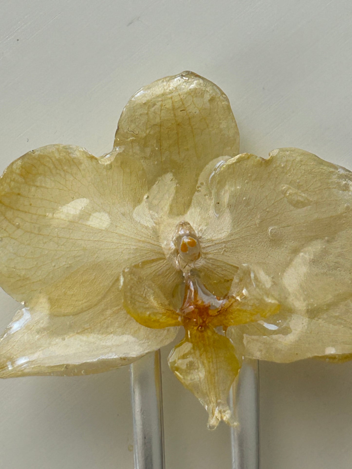 orchid french pin