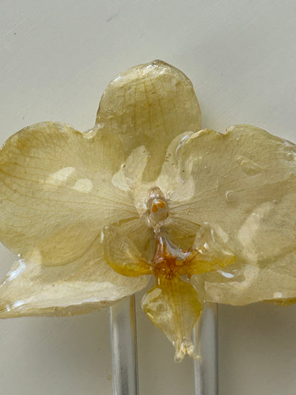 orchid french pin