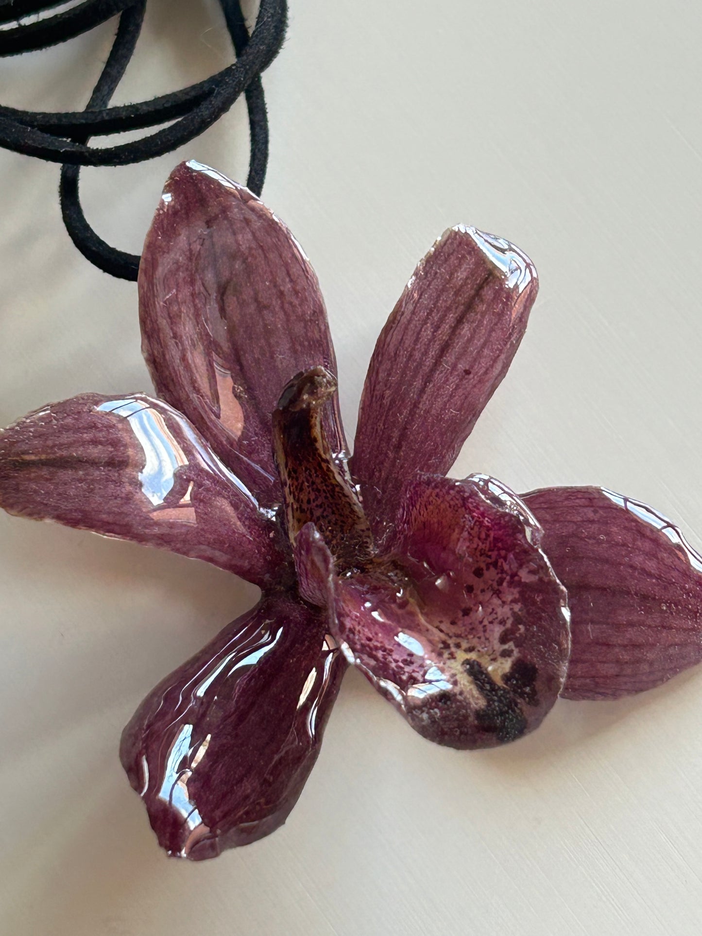 cym orchid choker