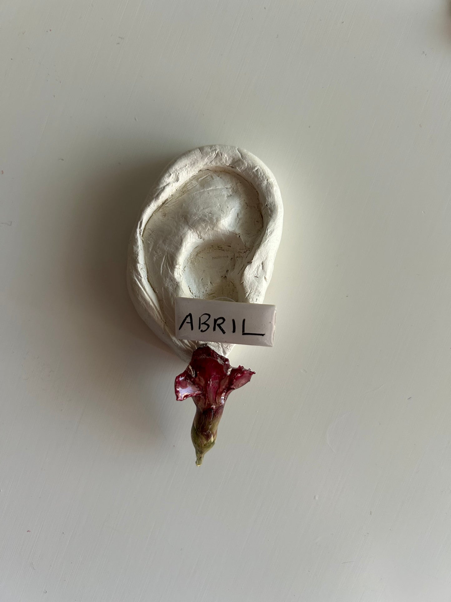 brincos mini cravo + abril