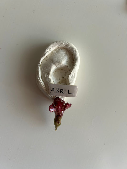 brincos mini cravo + abril