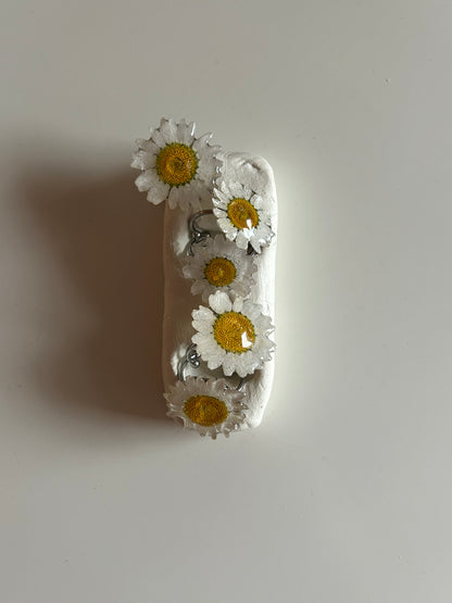 bellis ring