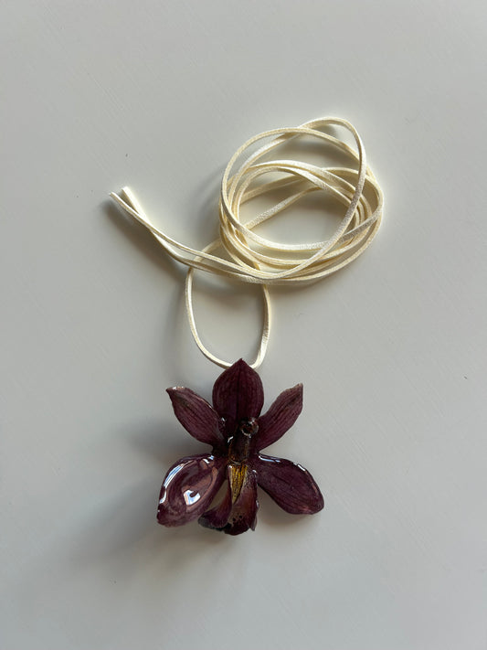 cym orchid choker